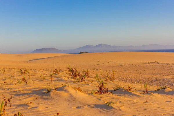 Desert in sunset, tengger desert, china. — Stock Photo, Image