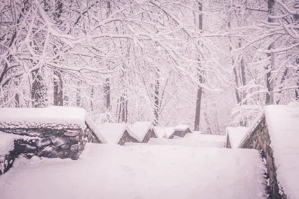 güzel kış manzarası