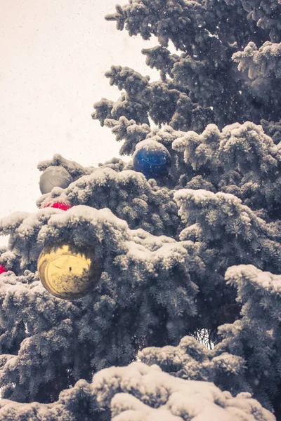 Fechar o fundo da árvore de Natal — Fotografia de Stock