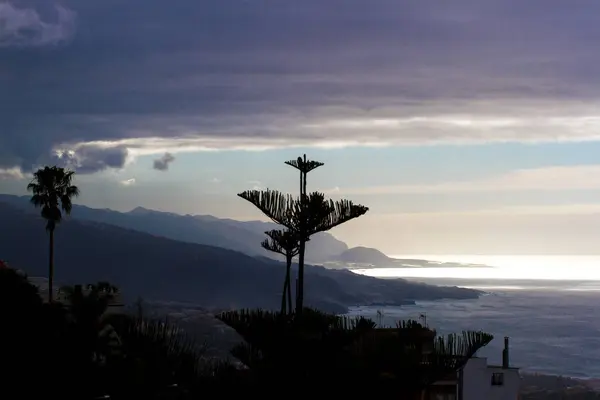 Siluetas de agave que florecen al atardecer contra el mar Mediterráneo. Costa Brava, España . — Foto de Stock