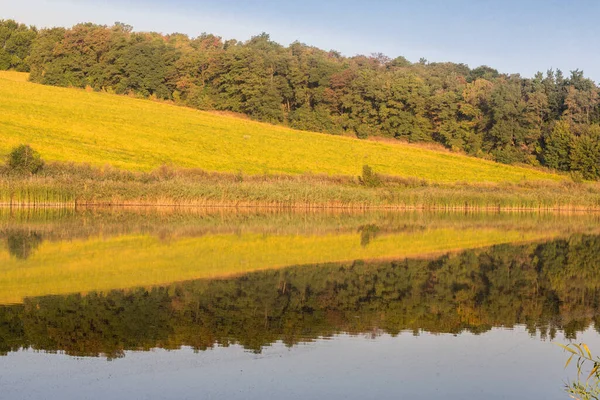 Campo amarillo con bonito reflejo de canola, otro nombre como colza. Campo de primavera . — Foto de Stock