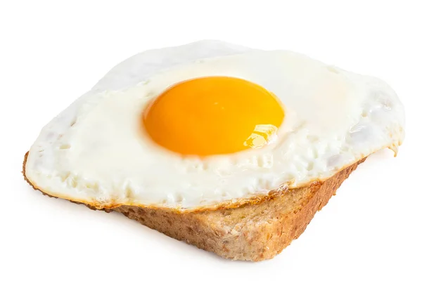 Enstekt ägg. — Stockfoto