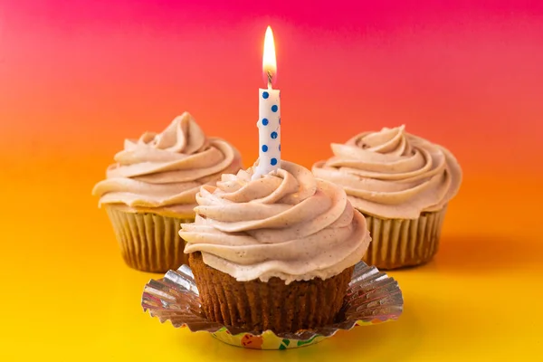 Cupcake Aniversário Com Uma Vela — Fotografia de Stock