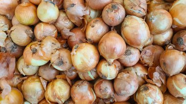 Taze taze soğan yığını. Soğan arka planı. Piyasada soğan