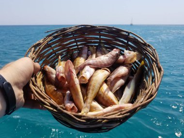 Sepette balık var. Akdeniz 'den taze balık. Rodos kıyılarında balık avlıyoruz.
