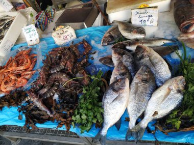 Güzelmiş. Fransa. 13 Kasım 2019. Balık pazarı. Fransız Deniz Ürünleri