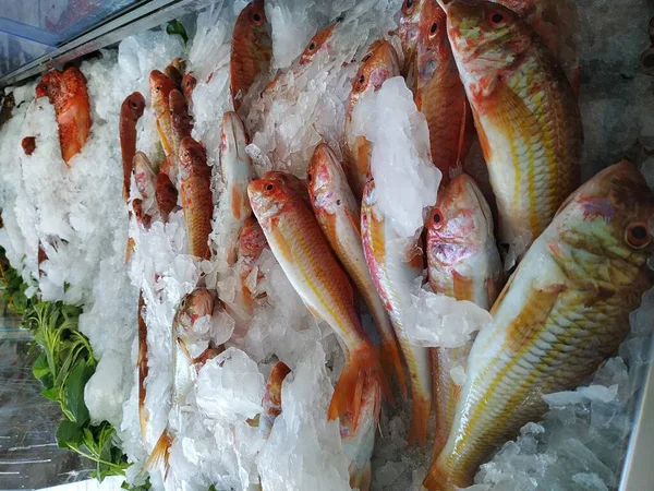 Balık buzun içinde yatıyor. Akdeniz 'den taze balık. Rodos kıyılarında balık avlıyoruz.