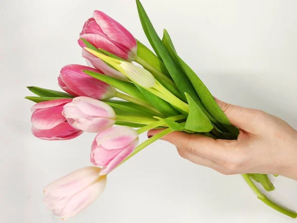 Bir kadının elinde bir buket pembe ve kırmızı laleler.