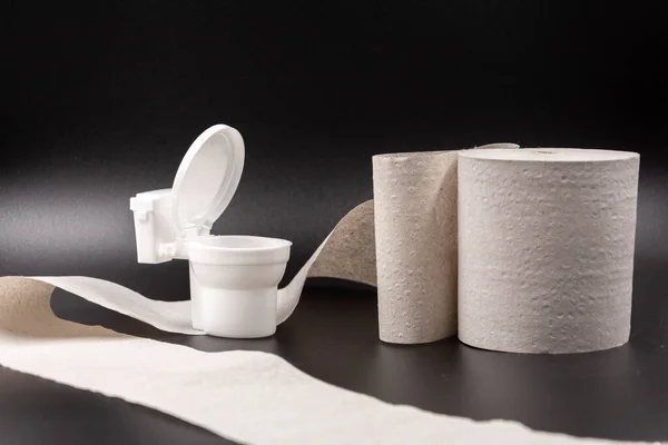 Klein Speelgoed Plastic Toiletpot Een Rol Goedkoop Toiletpapier Een Zwarte — Stockfoto