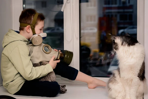 Quarantine Child Respirator Toy Gas Mask Sits Window Maine Coon — Stock Photo, Image