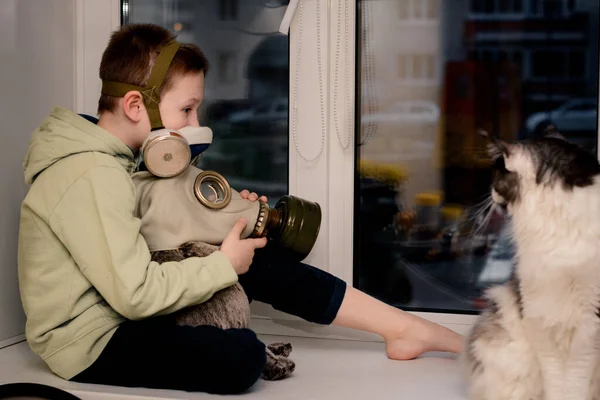 Quarantine Child Respirator Toy Gas Mask Sits Window Maine Coon — Stock Photo, Image