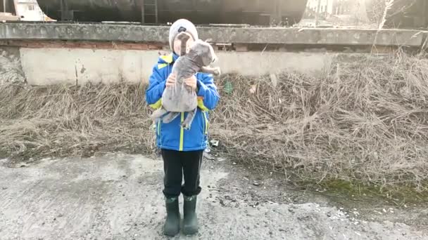 Årig Pojke Blå Jacka Leker Med Plysch Katt Långsam Mobilitet — Stockvideo