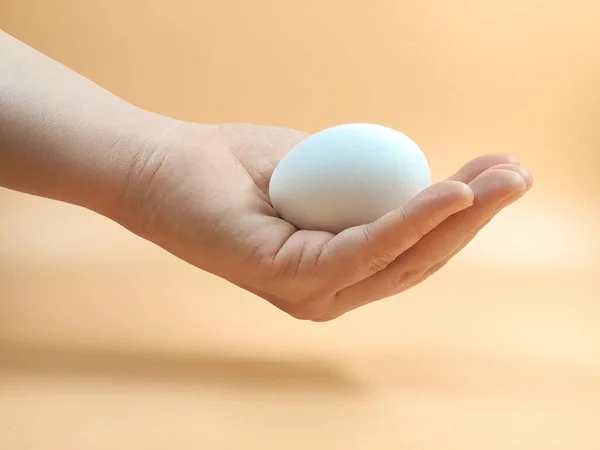 Detailní záběr ženské ruky držící v dlani bílé vejce. — Stock fotografie