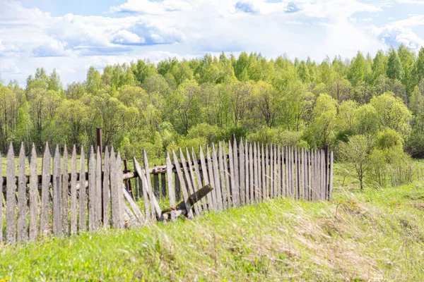 Eski, eğimli bir çit manzarası, arka planda orman ve yeşil çimenler.