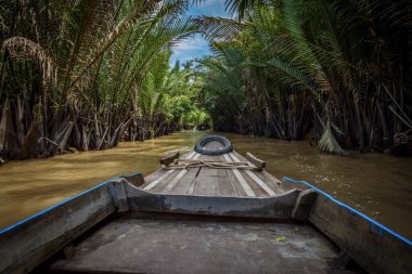 Mekong delta, Vietnam 'da palmiye ağaçlarıyla çevrili bir nehirde tekne gezisi.