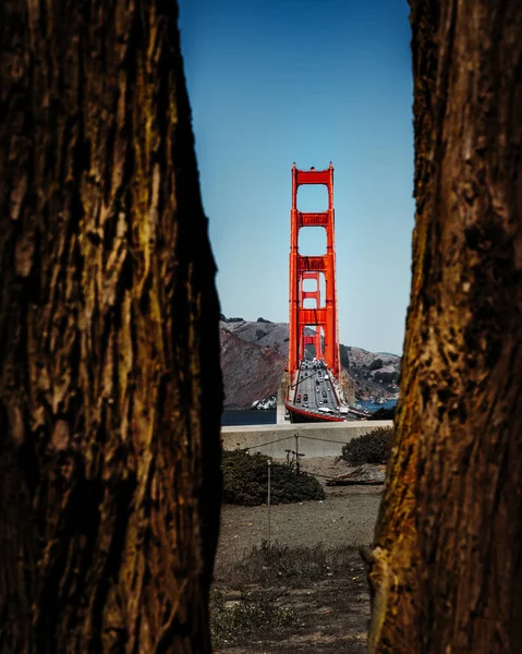 Golden Gate Brigde a través de un árbol California EE.UU. — Foto de Stock