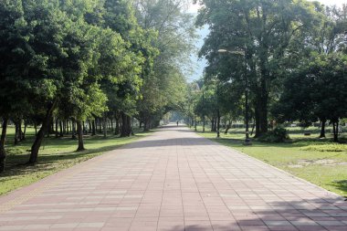 Taiping Gölü Taiping, Perak bulunan bahçe manzarası