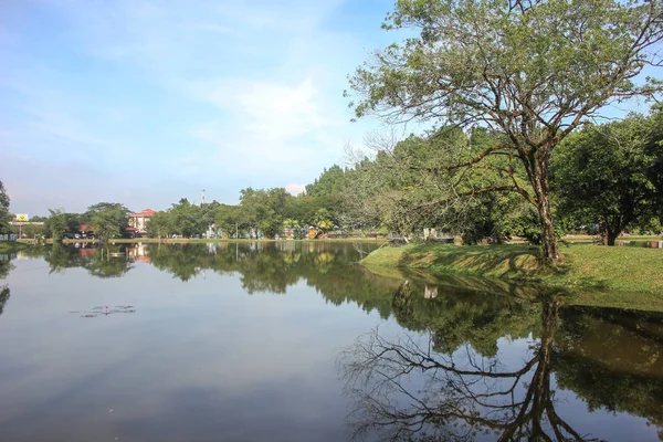 Cenário Taiping Lake Garden Localizado Taiping Perak Fotografias De Stock Royalty-Free