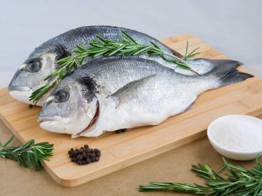 Taze pişmemiş dorado ya da tuzlu, biberiyeli ve biberiyeli balık. Akdeniz mutfağı. Sağlıklı ve diyet gıda konsepti. Sparus aurata. Pişirmek için çiğ balık.