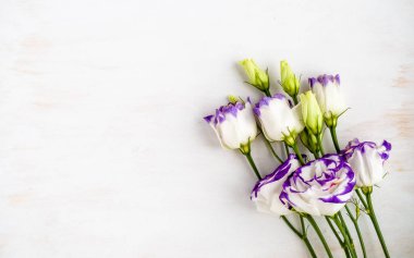 Güzel Eustoma, menekşe kenarlı beyaz taç yaprakları beyaz ahşap arka planda fotokopi alanı. Lisianthus çiçekleri. Üst Manzara. Yumuşak odaklanma. Düz yat. Doğal kozmetik ürünlerinin sunumu için çiçek dekoru.