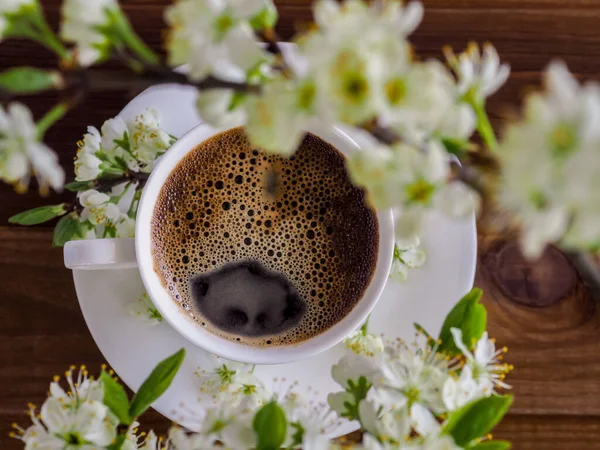 Una tazza bianca di caffè aromatico caldo e ramo di un ciliegio fiorito su uno sfondo di legno. Struttura piatta. Vista dall'alto. Primavera mattina americano. Accogliente, umore, stile di vita, concetto di natura morta . — Foto Stock