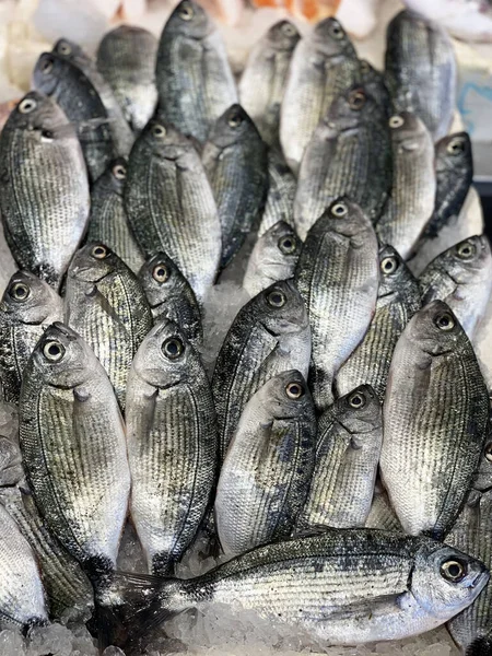 Assortment of fresh sea fish on the counter. The tourist's impression of the abundance of fresh food. The concept of fish diversity in the market