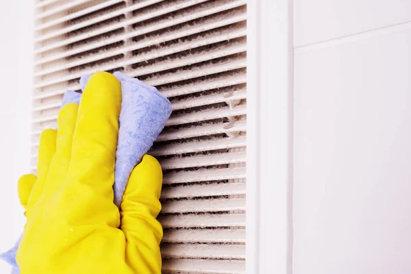 Una Capa Polvo Rejilla Ventilación Baño Para Limpiar Ventilación Casa:  fotografía de stock © ALENAZUMRUT #365564944