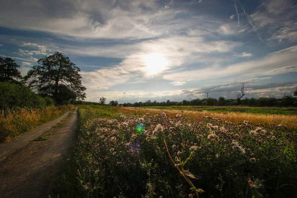Gün batımı. Güney Croxton