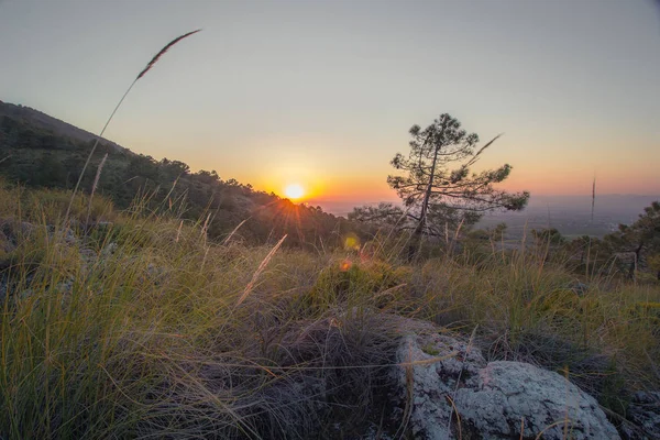 Sierra Nevada Morning.Dilar