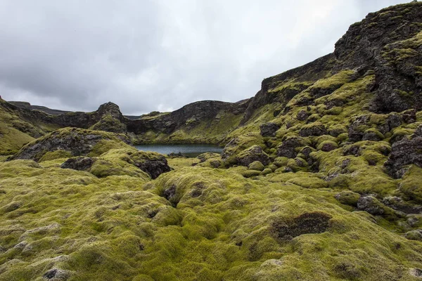 Laki 火山湖冰岛 — 图库照片