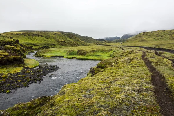 Blick auf den isländischen Fluss im Sommer — Stockfoto