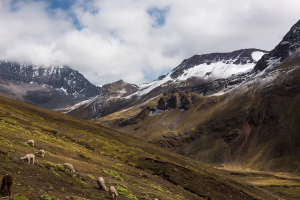 Caminata a las montañas del arco iris Vinicunca en Perú — Foto de Stock