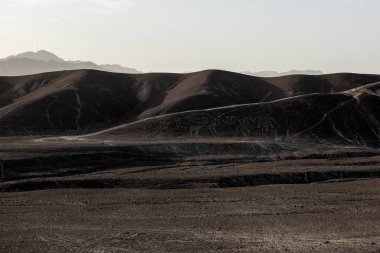 Palpa geoglyph - aile