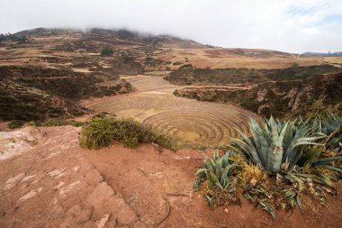 Tarım dairesel terraces adlı Moray Peru