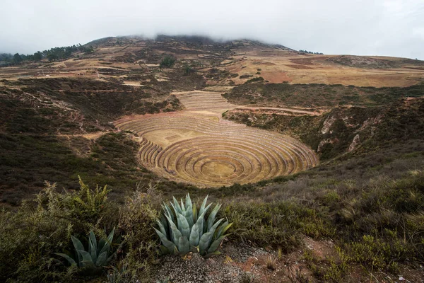 Agricultura terrazas circulares en Moray Perú — Foto de Stock