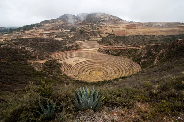 Agricultura terrazas circulares en Moray Perú — Foto de Stock