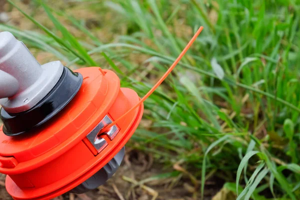 Head with fishing line for mowing grass. Gas trimmer. Trimer gascosis with a leaf for mowing grass and shrubs.