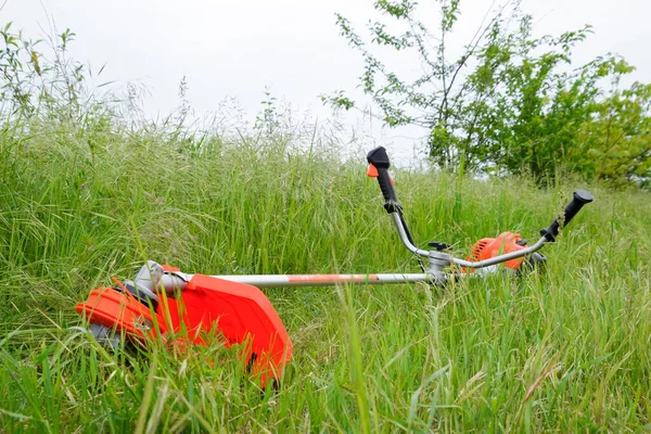 Trimer Gascosis Leaf Mowing Grass Shrubs — Stock Photo, Image