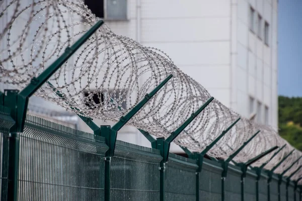 Swirls Barbed Wire Fence Fence Symbolizes Prison Non Freedom Totalitarianism — Stock Photo, Image