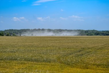 Toprağı sabanla sürerken çıkan toz. Pirinç tarlası. Kırsal alan