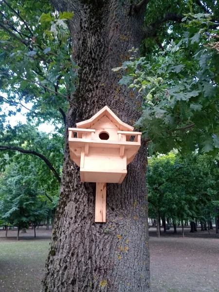 Gyönyörű Madárház Egy Fán Madárház Parkban — Stock Fotó