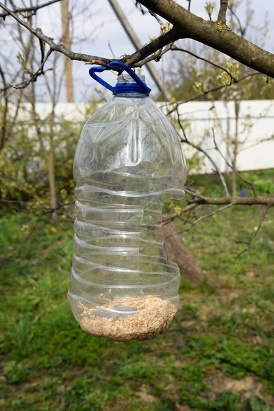 Alimentador de pássaros no jardim. Um alimentador de garrafa de plástico . — Fotografia de Stock