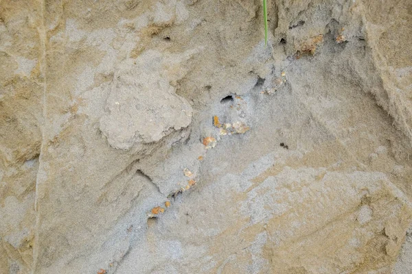 Осадочные Слои Породы Песчаной Ширме Песок Галька Раковины Осадочных Породах — стоковое фото