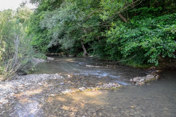 Sığ Bir Dağ Nehri Taşlardan Çakıllardan Oluşan Bir Dağın Dibi — Stok fotoğraf