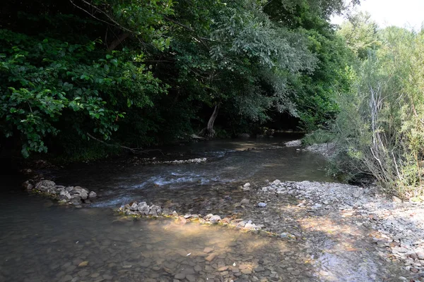 Une Rivière Montagne Peu Profonde Fond Une Rivière Montagne Pierres — Photo