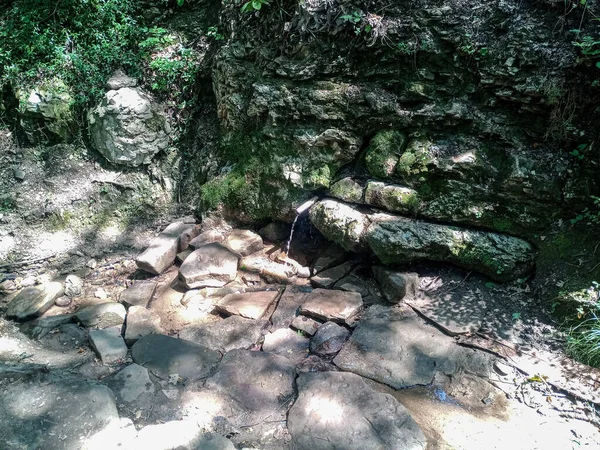 Tube Inséré Dans Source Pour Commodité Ensemble Eau Potable Forêt — Photo