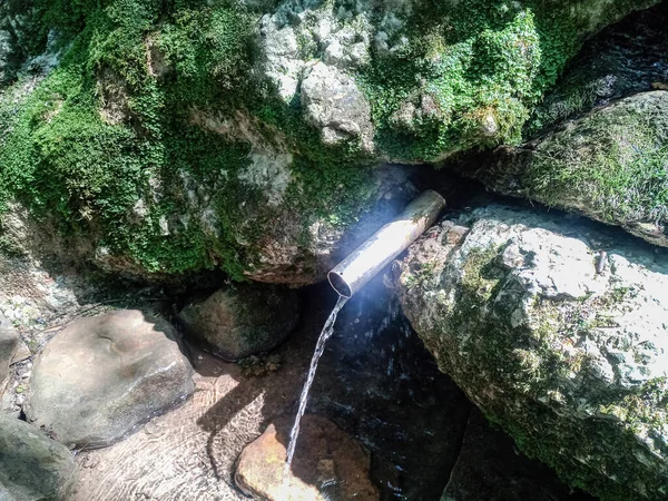 Rurkę Umieszczoną Sprężynie Dla Wygody Zestawu Wody Pitnej Las Shapsug — Zdjęcie stockowe