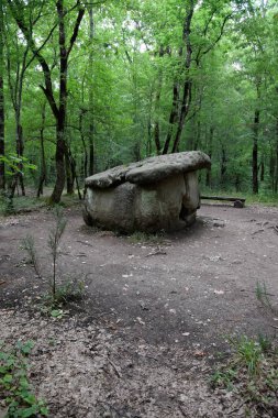 Dolmen Shapsug 'da. Shapsugskaya köyü yakınlarındaki şehirde orman, antik medeniyetin kalıntıları ve dolmenleri..
