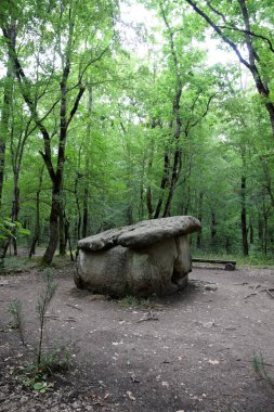 Dolmen Shapsug 'da. Shapsugskaya köyü yakınlarındaki şehirde orman, antik medeniyetin kalıntıları ve dolmenleri..