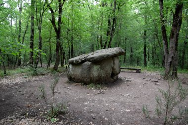 Dolmen Shapsug 'da. Shapsugskaya köyü yakınlarındaki şehirde orman, antik medeniyetin kalıntıları ve dolmenleri..